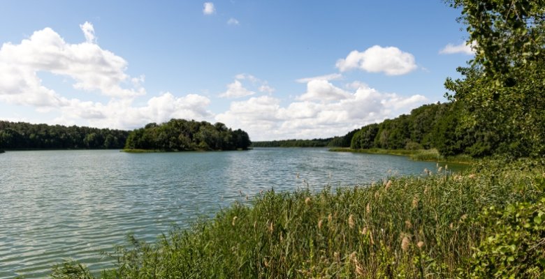 Kąpielisko strzeżone nad Jeziorem Jarosławieckim